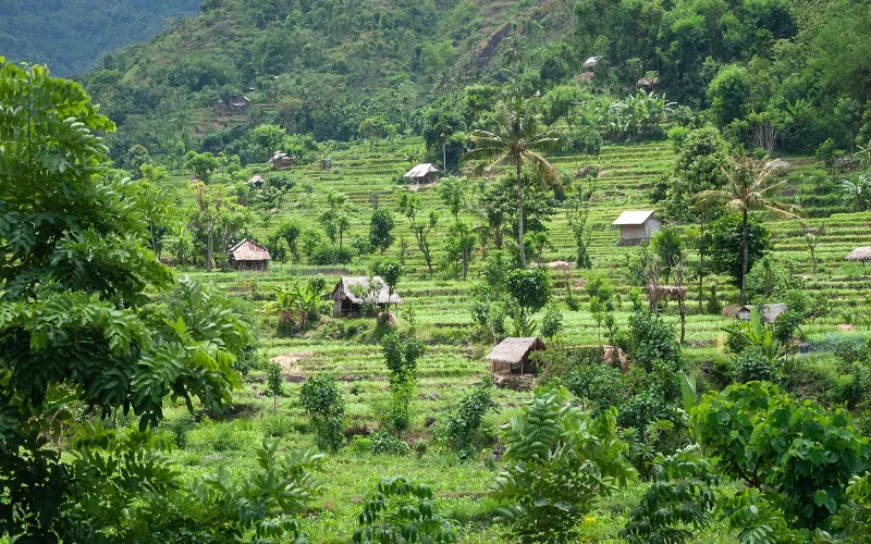 Photo de Bali