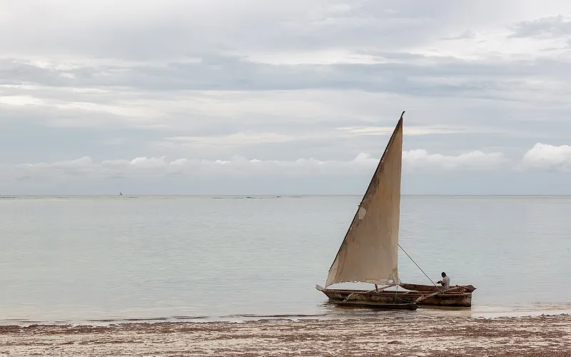 Photo de Zanzibar